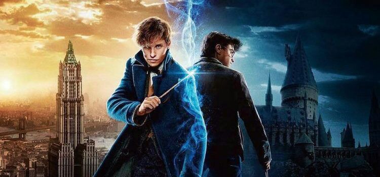 Potter VS Scamander | Harry Potter Amino