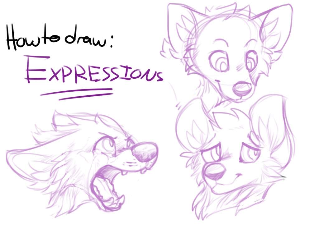 easy anime wolf drawing to Furry   Amino Expressions How draw: