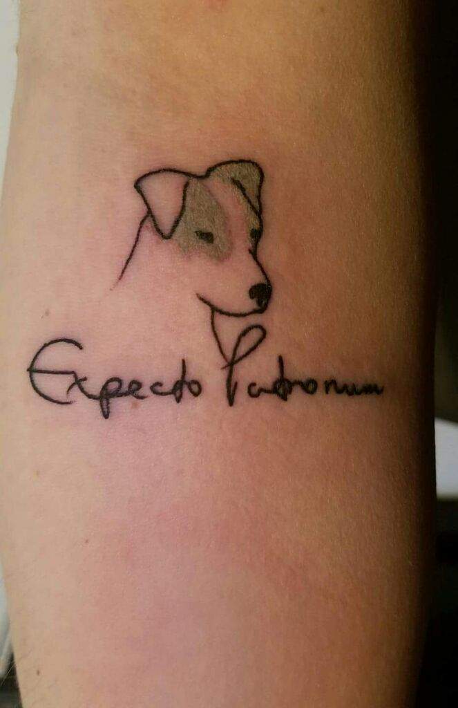 KINA DÖVME HENNA TATTOO  hintkinacisi16 dog jackrussell tattoo bursa  terrier sankibirmiyasaklanmış  Facebook