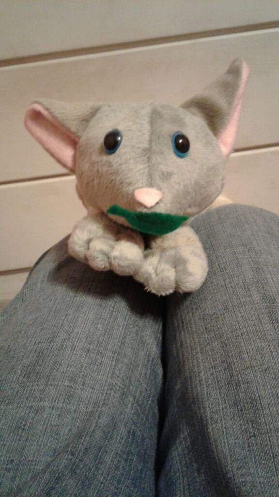 jayfeather plush