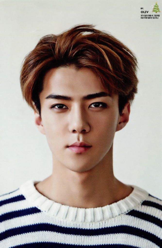 Sehun | Wiki | ARMY E EXO-L Amino