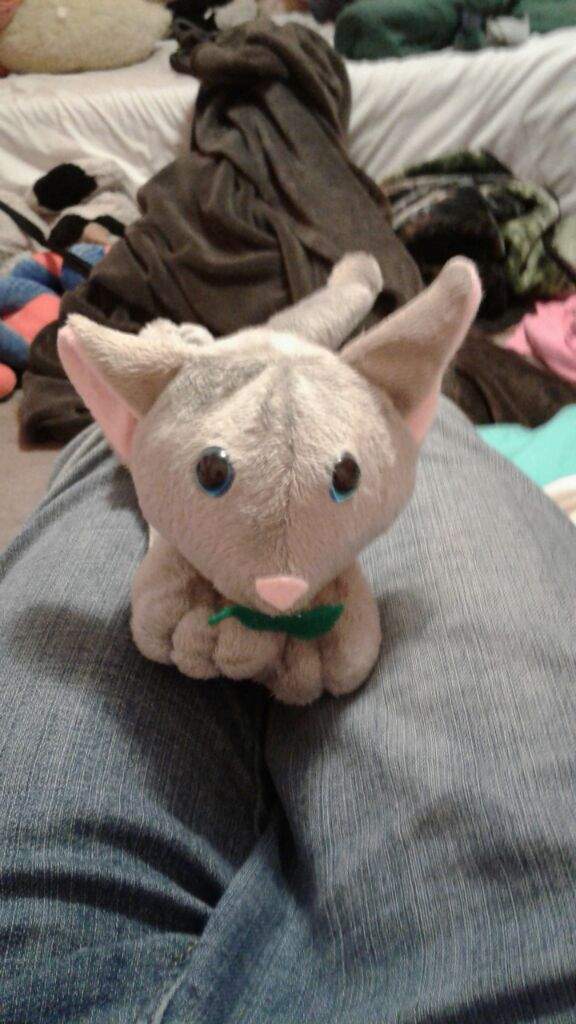 jayfeather plush