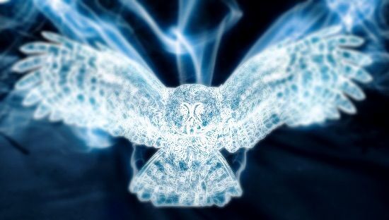 my patronus— the great grey owl | Harry Potter Amino