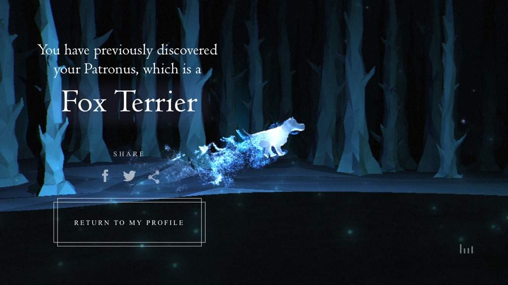 Patronus Challenge | Harry Potter Amino