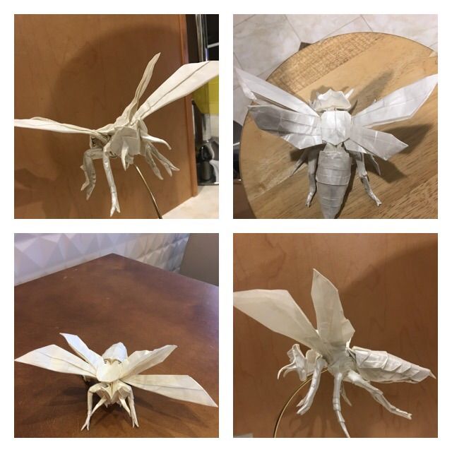 satoshi kamiya wasp