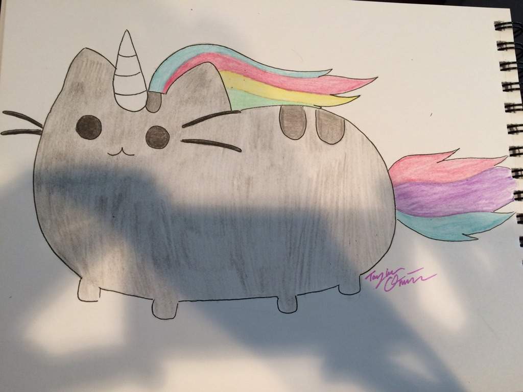 pusheen unicorn squishy