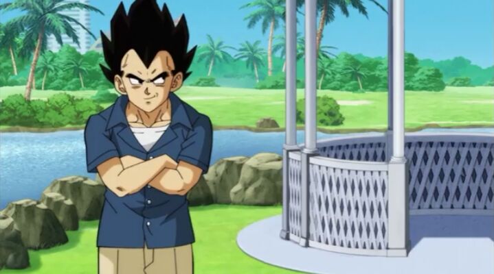 vegeta father's day