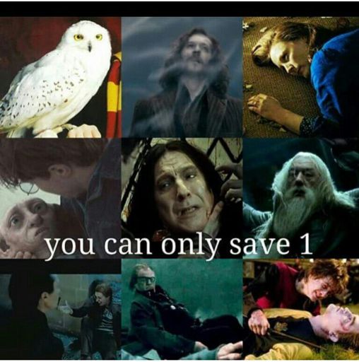 You can only save one | Harry Potter Amino