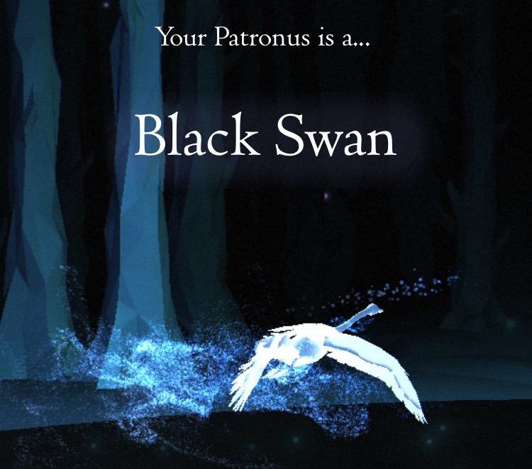 Forbedre Forudsige Udstyre Black Swan is #MyPersonalPatronus | Harry Potter Amino