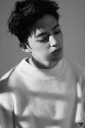 Choi Seungcheol | Wiki | K-Pop Amino
