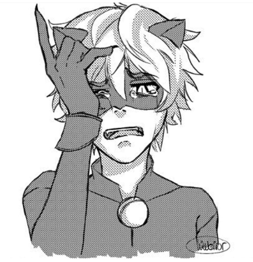 Chat noir | Wiki | Miraculous Amino