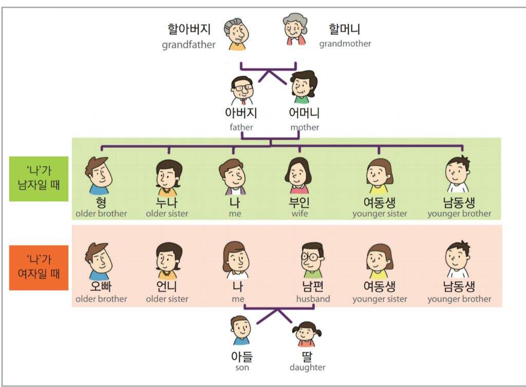 how-many-family-members-do-you-have-korean-school-amino