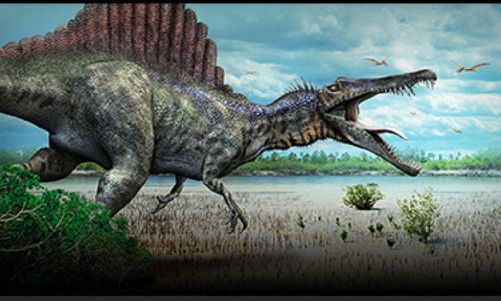 spinosaurus prehistoric kingdom