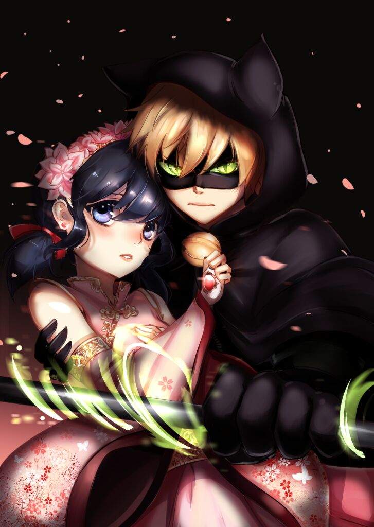 Miraculous Ladybug Marichat Cute