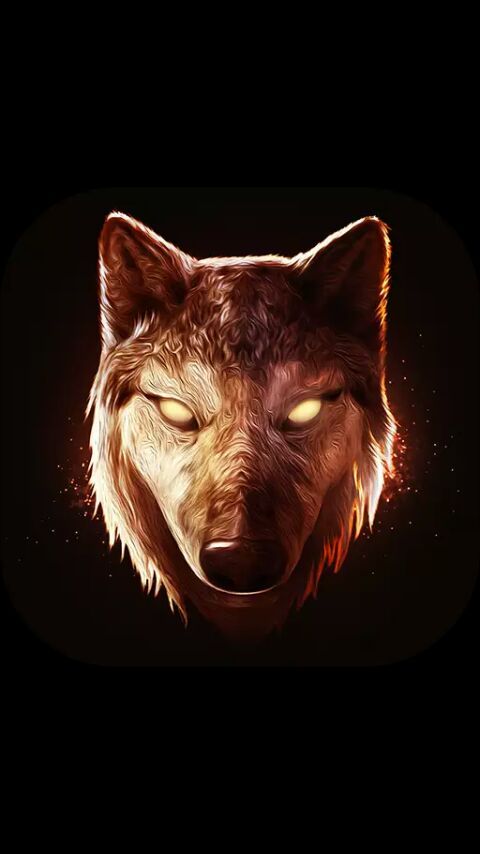 Eu sou lobo solitario | Galaxy World PT/ BR Amino