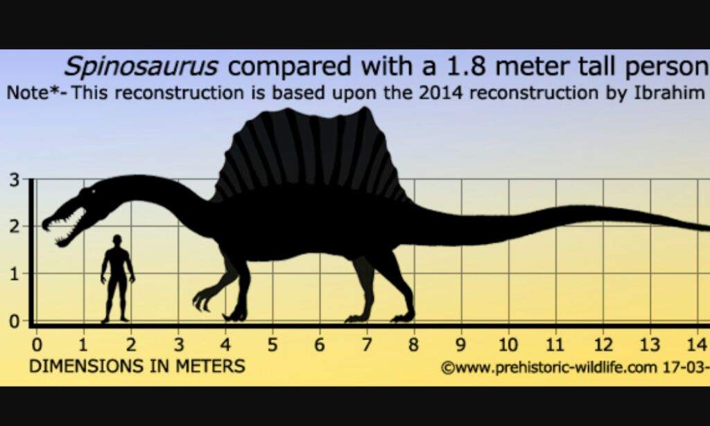 moroccan spinosaurus