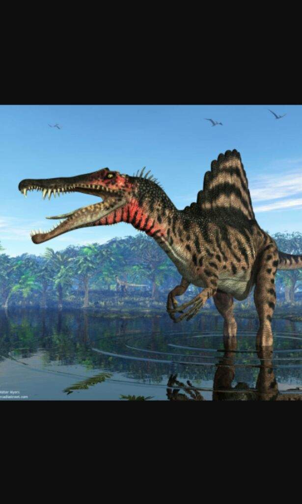 spinosaurus prehistoric kingdom