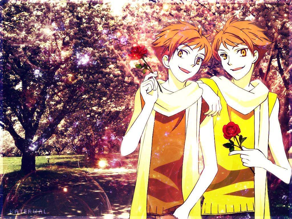 Twins Wiki Ouran High School Host Club 3 Amino