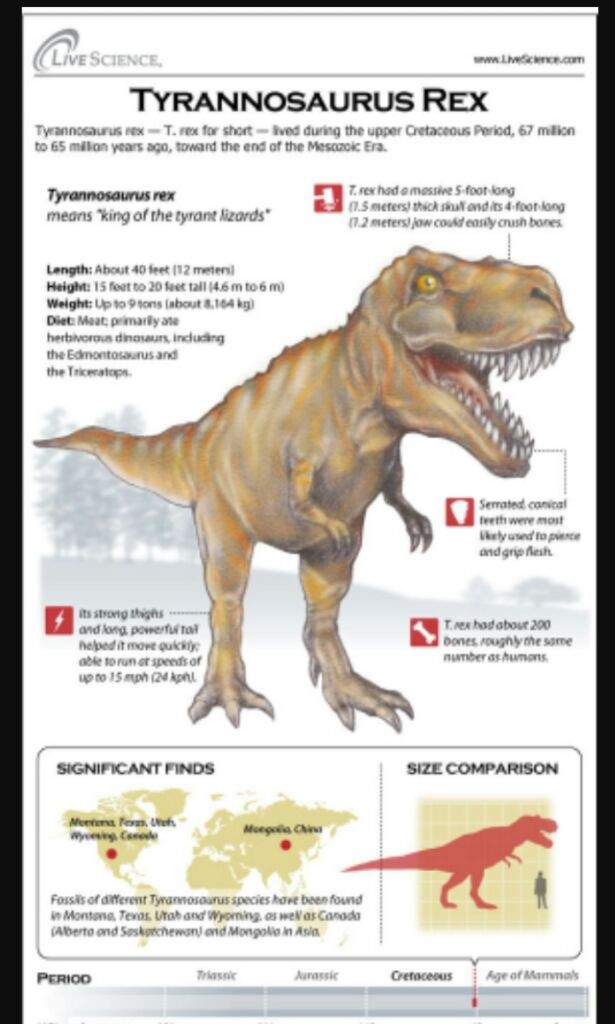 tyrannosaurus rex montana