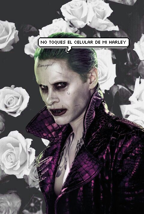 ☆?Fondo De Pantalla De Nuestro Querido Mr J?☆ | ♢❤️Harley Quinn♥♢ Amino