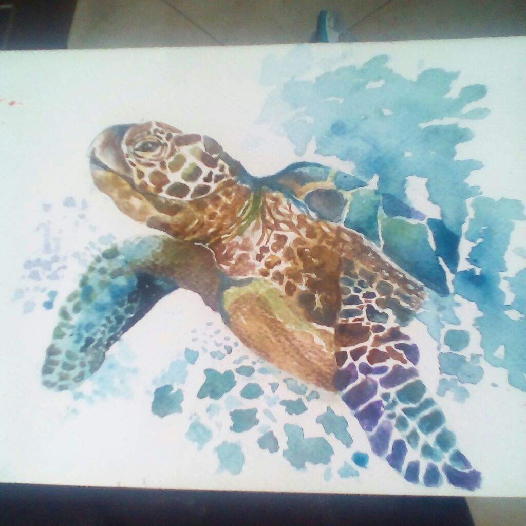 Sea Turtle Watercolor Art Amino