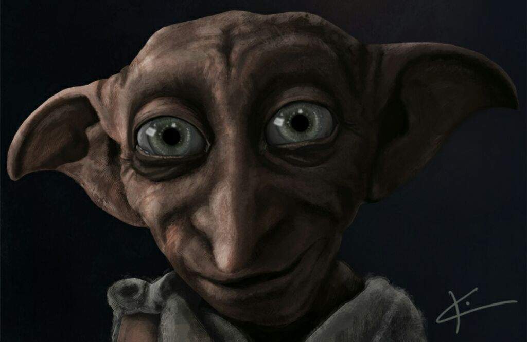 dobby set free