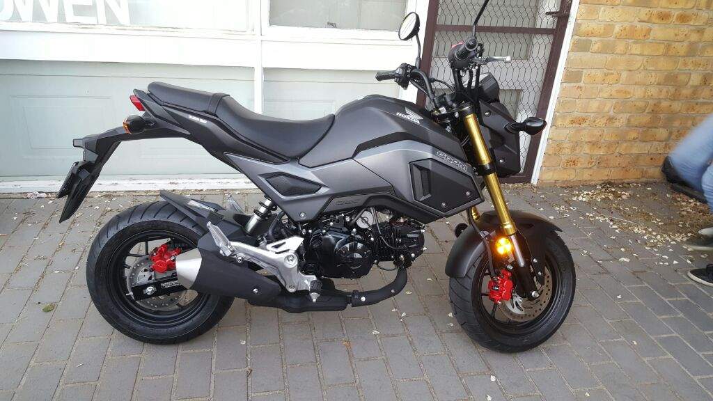 grom fender eliminator