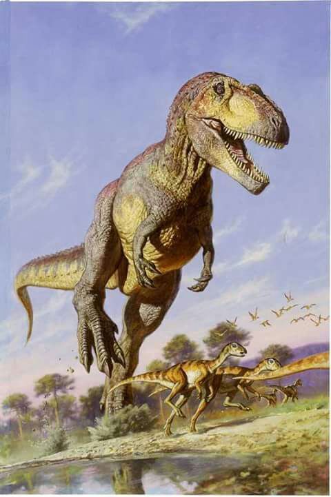 giganotosaurus | Wiki | Prehistoric Amino! Amino