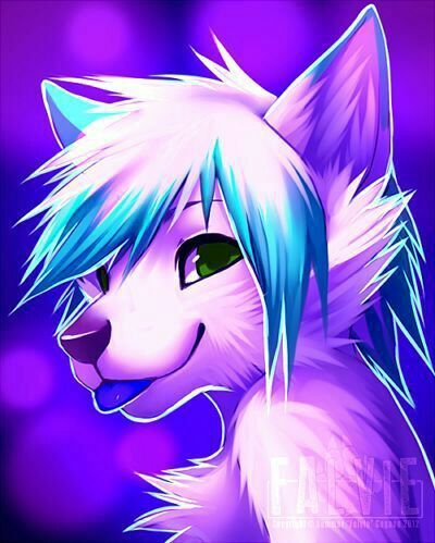 Falvie | Wiki | Furry Amino