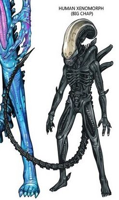 Navi Xenomorphs | Wiki | Alien Versus Predator Universe Amino