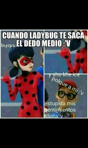 memes ladybug | •Miraculous Ladybug Español• Amino