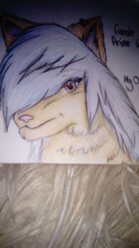 my OC wolf | Anime Amino