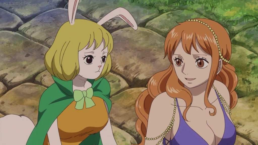 Carrot And Nami One Piece Amino 2827