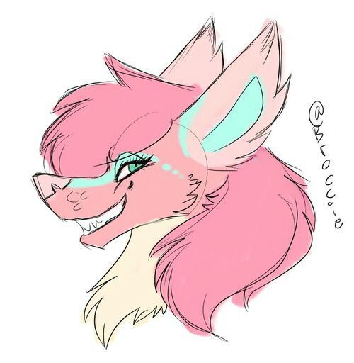 Samara Zorah | Wiki | Furry Amino