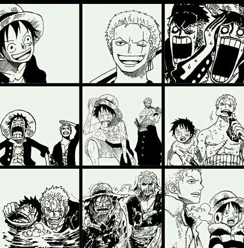 Luffy & Zoro | •One Piece• Amino