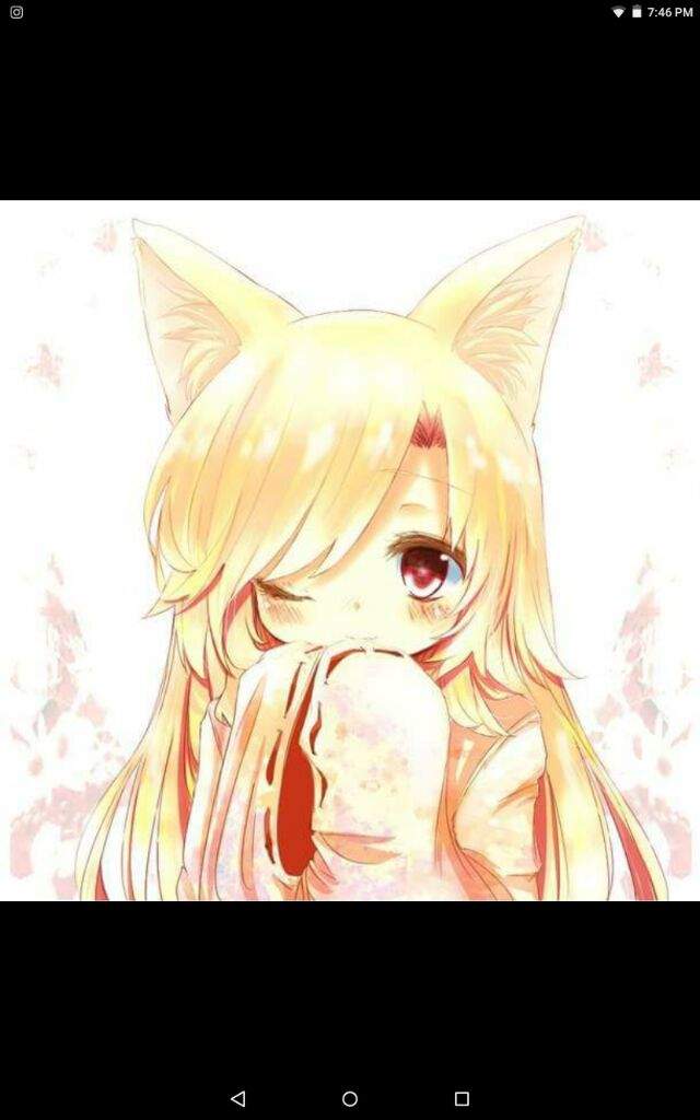 Cute Anime Cat Girl Kawaii Amino Amino