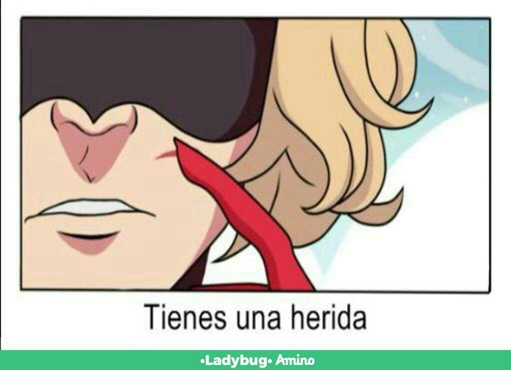 Otro Comic Romántico De Ladybug Y Chat Noir