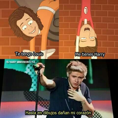 🎀Memes de1D parte 2🎀 | One Direction Español Amino