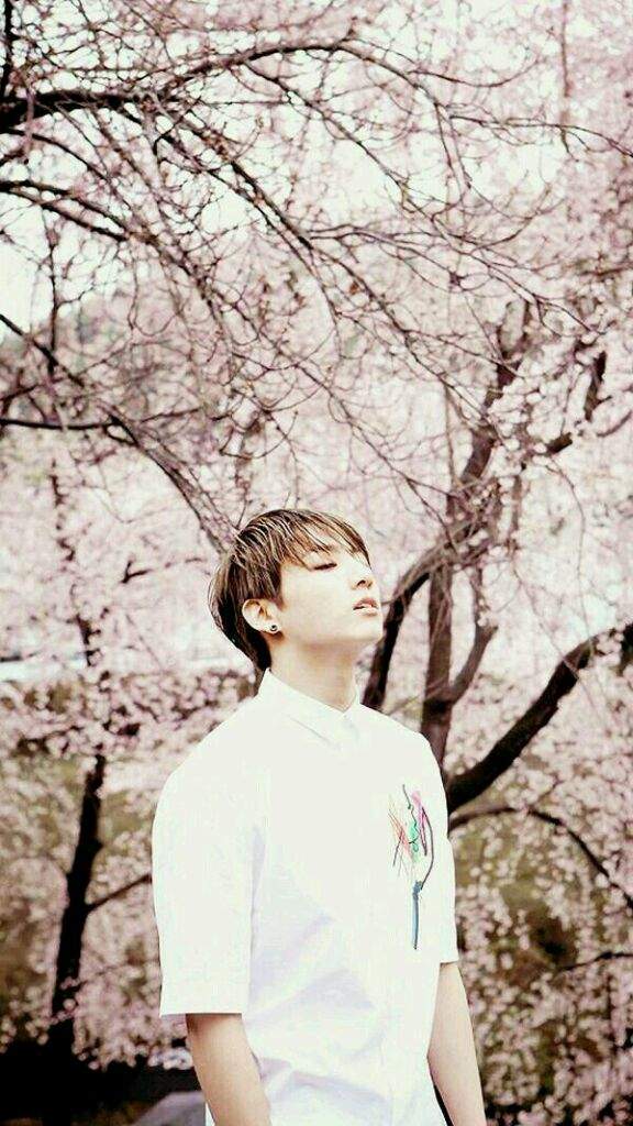 Wallpaper BTS for your handphone | ARMY's Amino