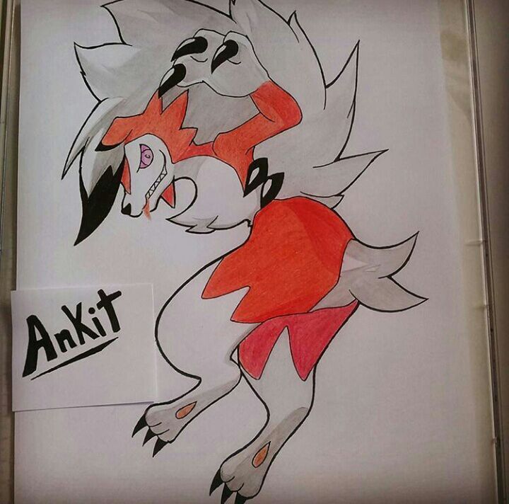 Pokemon Lycanroc Fanart! 🌙 | Anime Amino