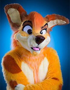 Sunny Dingo | Wiki | Furry Amino