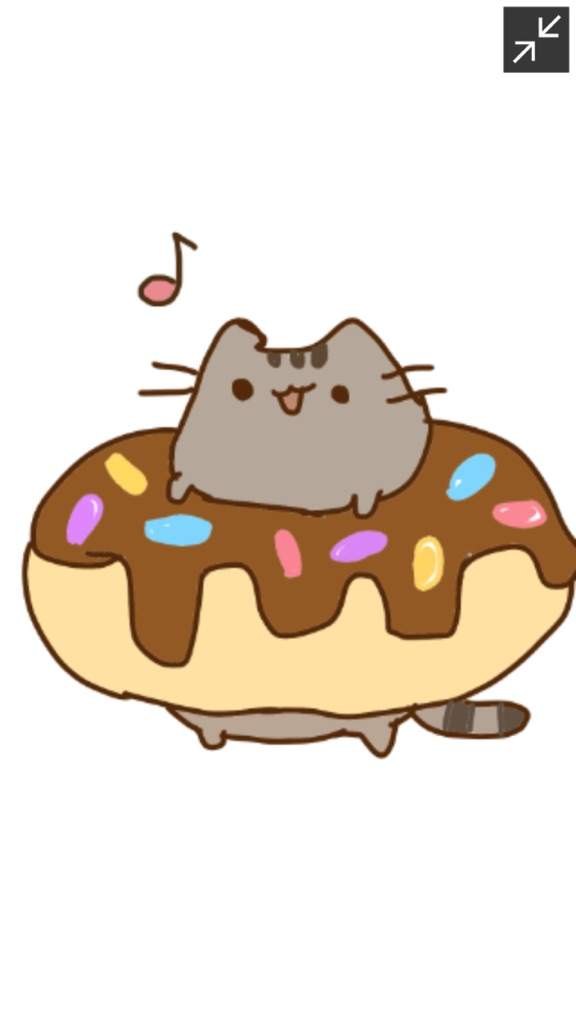 Donut Pusheen Pusheen The Cat Amino Amino 2371