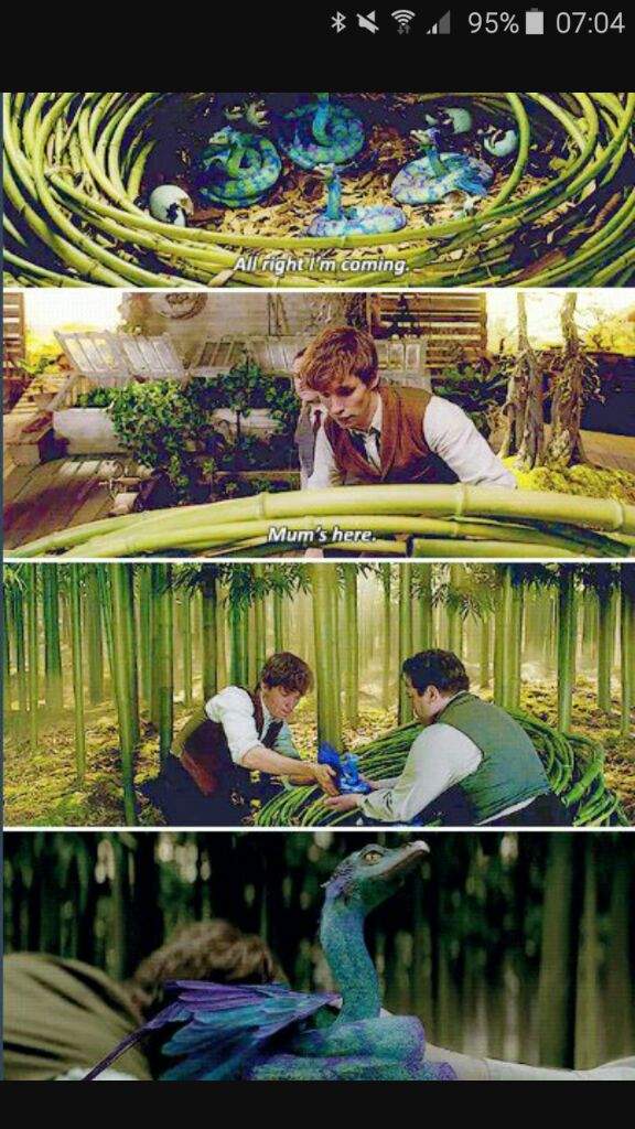 Newt Scamander Wiki Harry Potter Amino 7672