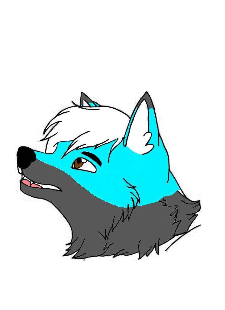 Howler | Wiki | Furry Amino