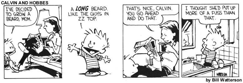 the essential calvin and hobbes