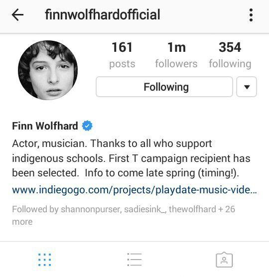stranger things - finn wolfhard instagram followers