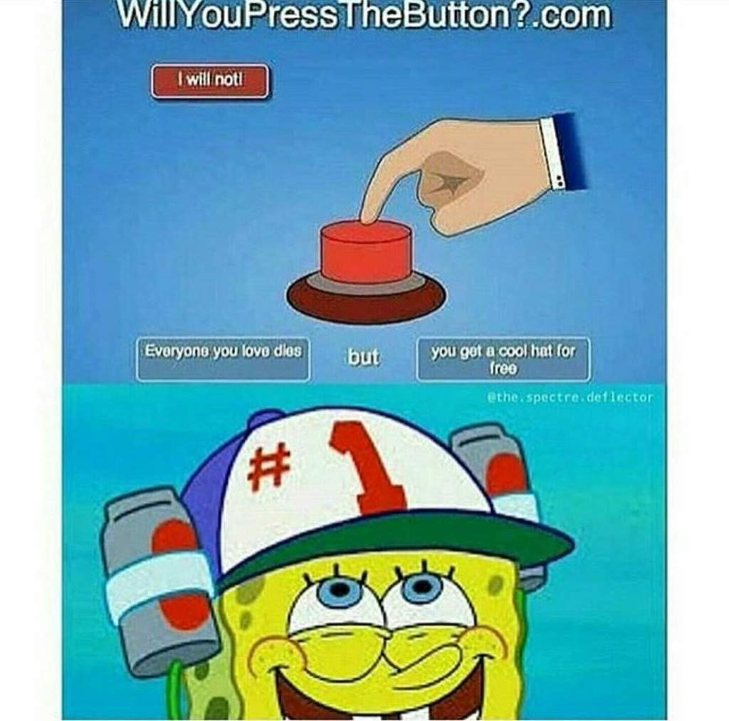 Some Spicy Spongebob Memes Cartoon Amino