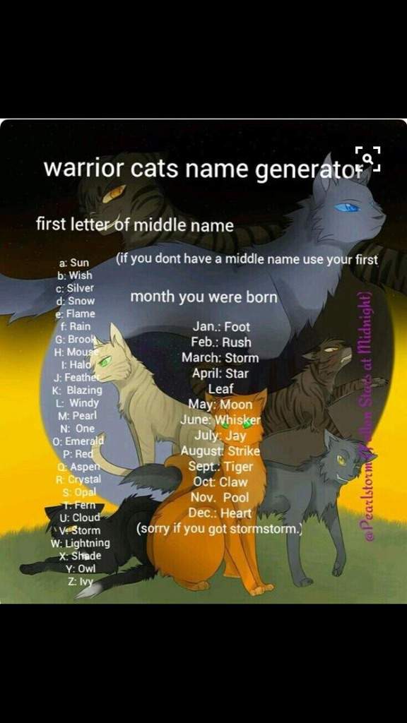 Warrior Cat Name Generator Quiz