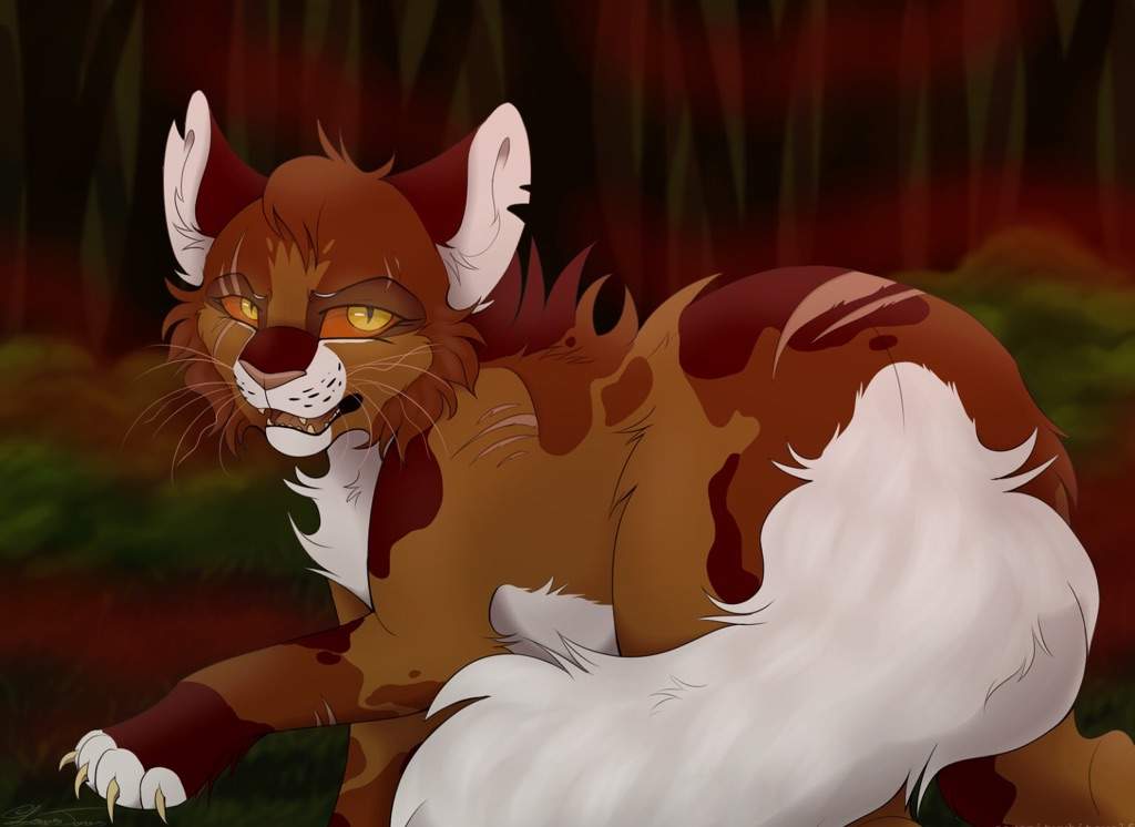 MapleShade Wiki Warriors Amino