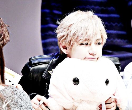 taehyung plushie